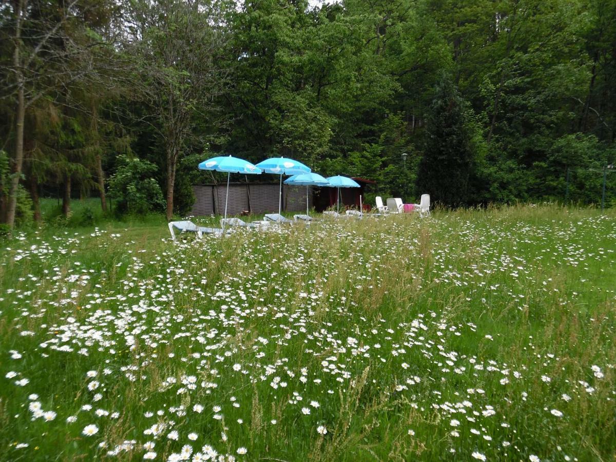 באד סקסה Wellness Und Romantik Hotel Helmboldt מראה חיצוני תמונה